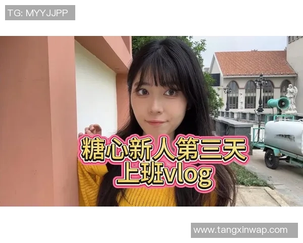 国产糖心vlog传媒多乙-探索国产糖心Vlog传媒的新境界 多乙的时代机遇与挑战-